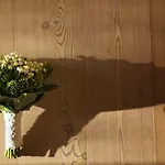 Finardi Nocleg ze śniadaniem
