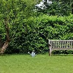 Finardi Bed & Breakfast Bergamo