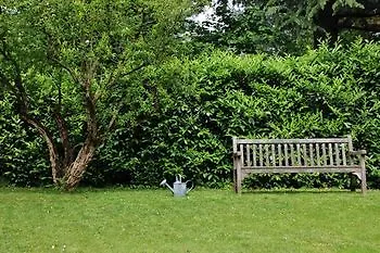 Finardi Bed & Breakfast Bergamo